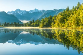 Neuseeland Lake Matheson am Morgen/12783472