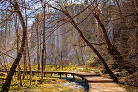 Steg durch den herbstlichen Wald mit Wasserfall/12795771