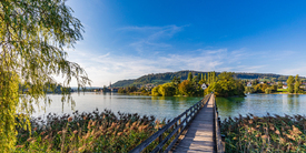 Steg zur Insel Werd am Hochrhein in der Schweiz/12805189