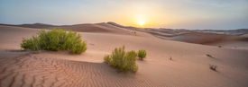 Sonnenuntergang in der Rub al-Chali Wüste/12808693