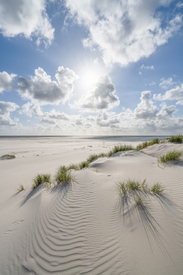 Dünenstrand im Sonnenlicht/12809549