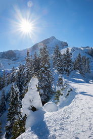 Alpspitze im Winter/12817775