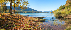 Herbst am Walchensee/12818017