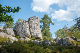 Felsformation Großer Pfahl/12818296