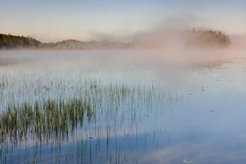 Morgenstimmung am See /12818738