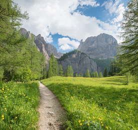 Wanderweg Pisciadu Dolomiten/12819214