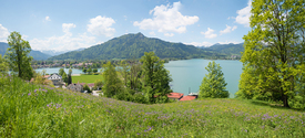 Frühlingslandschaft am Leeberg Tegernsee/12819345