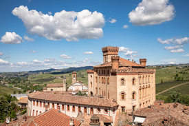 Castello di Barolo/12824606