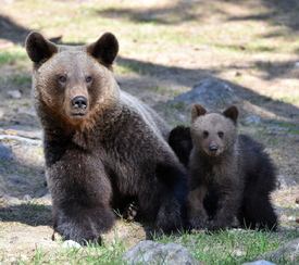Meine Mama und ich/12835695