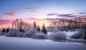Blaue Stunde am Pfauenteich im Harz /12877762