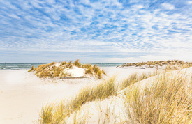 Fun im Ostseewind/12885068