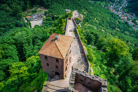 Trifels-Südseite 29n/12890634