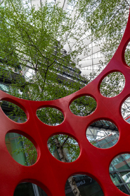 The Center/12890855