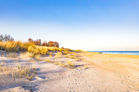 Goldene Stranddünen/12890900