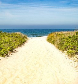 Der Weg ans Meer/12890998