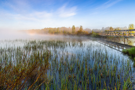 Morgenstimmung am See/12894166