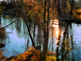Abendlicht/12894725