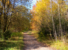 Herbst/12894999