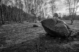 Findling in der Westruper Heide/12898834