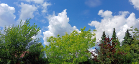 Himmel und Erde/12900036