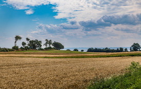 Landschaft an der Ostsee /12901892