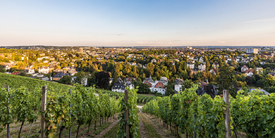 Blick vom Neroberg auf Wiesbaden in Hessen/12901914