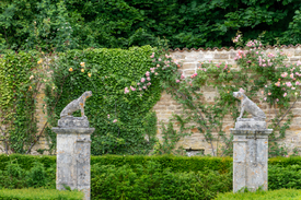 Wachhunde/12904079