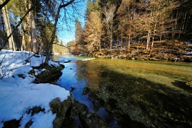 Mangfall/12904108