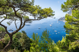 Die Insel Capri im Sommer/12907613