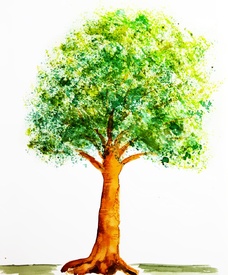 Apfelbaum/12908807