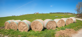 Panorama ländlich/12908824