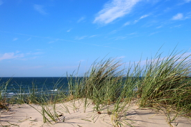 Dünen/12914692