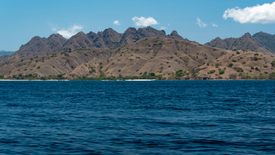 Rinca Island/12914924