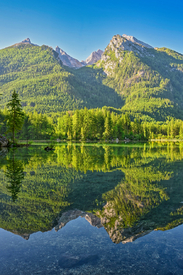 Der Hintersee im Morgenlicht/12915649 Der Hintersee im Morgenlicht/12915649
