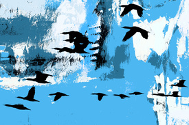 Kormorane über dem Meer mixed media/12916892