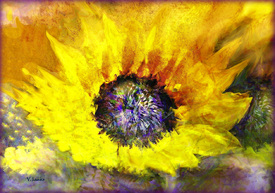 Blütenaquarell/12925701