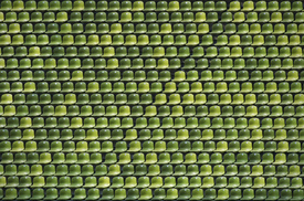 take a seat/12928059