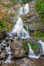 Todtnauer Wasserfall - Schwarzwald/12928101