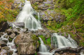 Todtnauer Wasserfall - Schwarzwald/12928102