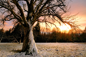 Farbenfroher Sonnenuntergang über Winterlandschaft/12930048