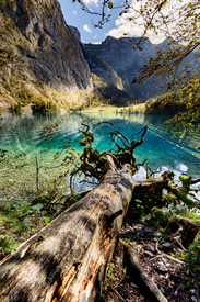 Obersee/12935685