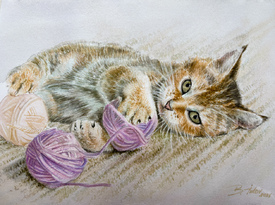 Spiel der Neugier/12938427