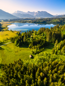 Frühling in Oberbayern/12939516