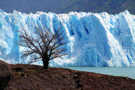 Perito Moreno Gletscher/12940202