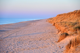 Morgenstimmung auf Sylt/12940294