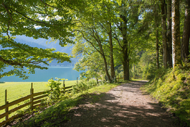 Achensee Uferweg/12940389