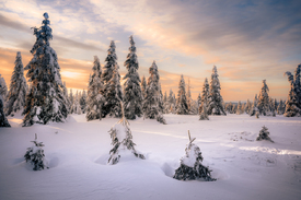 Sooooo schön im Harz /12940396