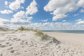 Spuren am Nordseestrand/12941570