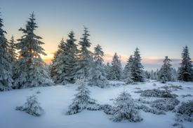 Endlich Winter /12943890