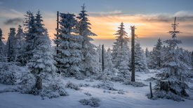 Winterlicher Harz zur Dämmerung /12943892